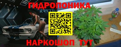 дмт Тула
