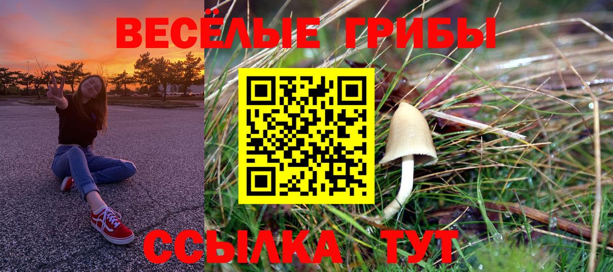 Новоалтайск  Галлюциногенные грибы мухоморы  Вход с VPN 