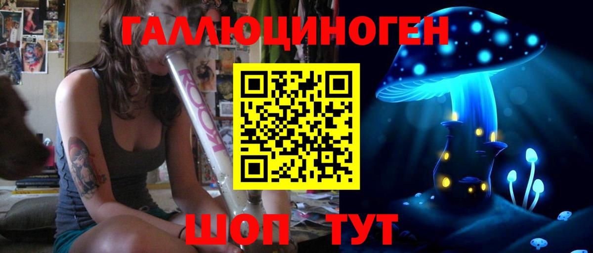 Псилоцибиновые грибы прущие грибы Новоалтайск